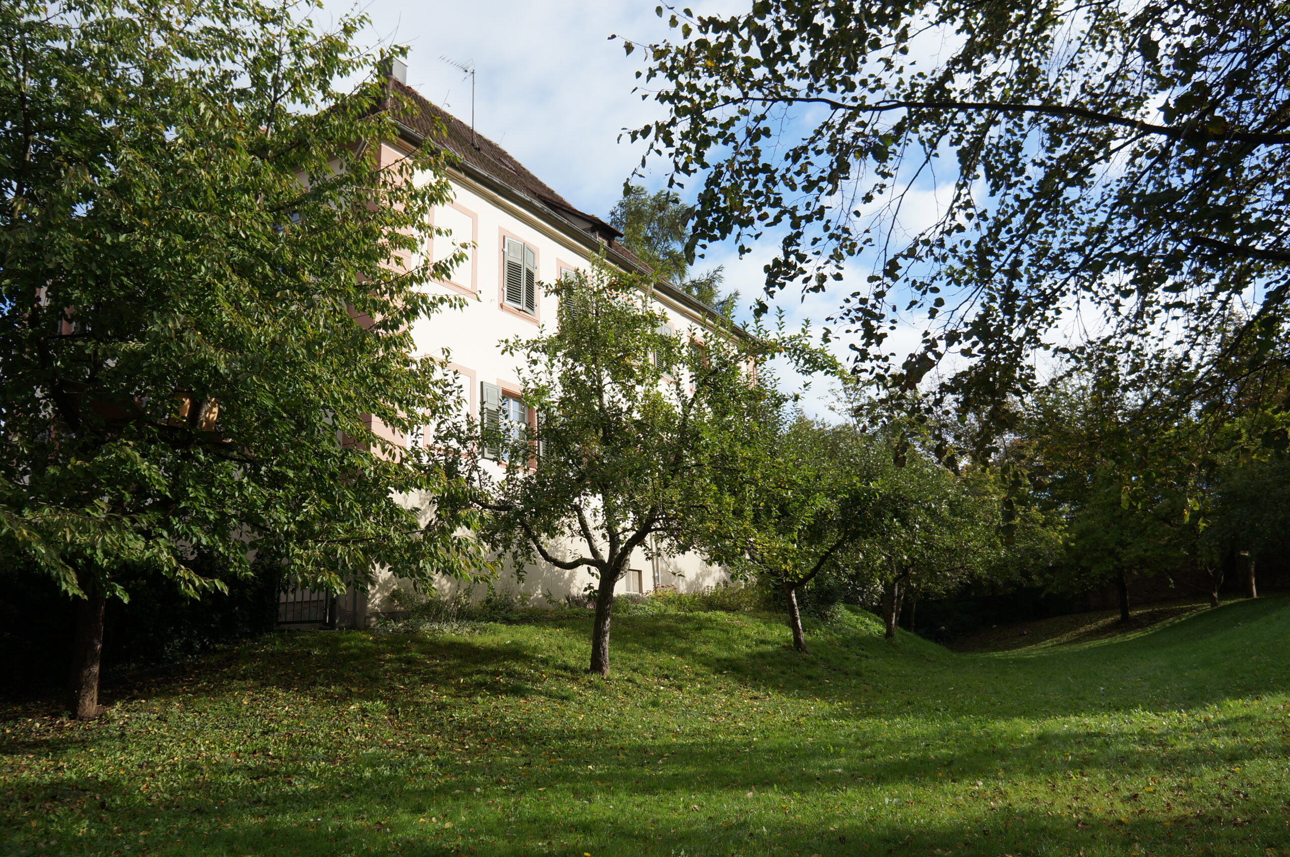 Stellenangebot